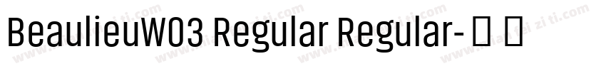 BeaulieuW03 Regular Regular字体转换